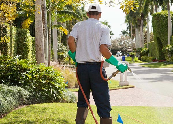 About Seibert CO Pest Control Pros
